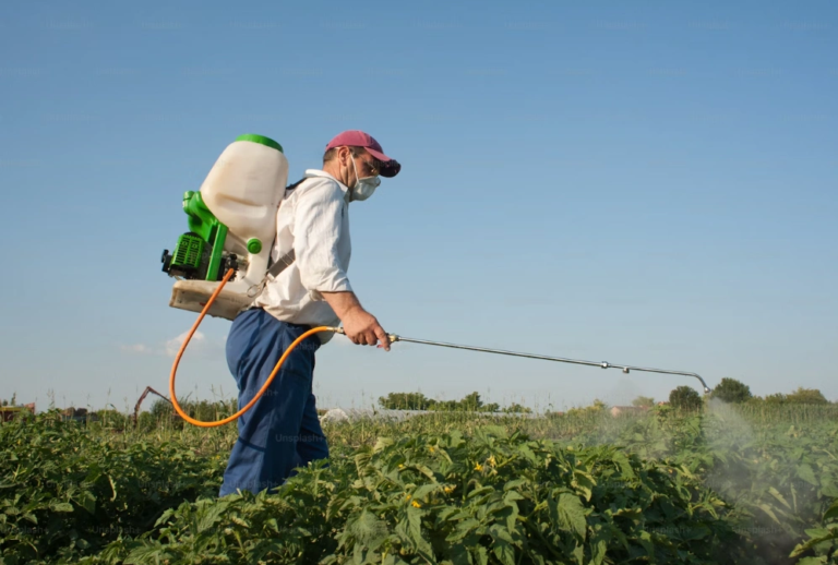 Cut inspection time by automating pest checks