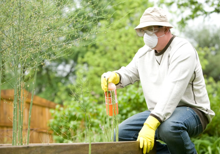 Improve pest control outcomes with actionable insights