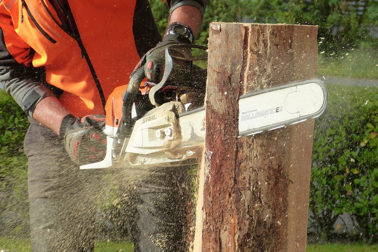 Forester uses vibrating chainsaw to cut up tree log