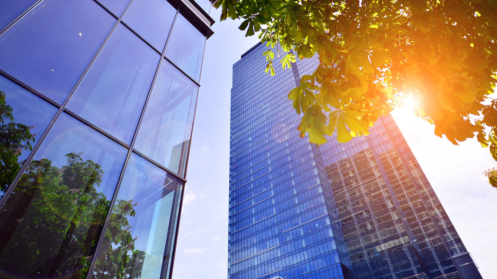 Edificio de oficinas de cristal rodeado de árboles Edificio de oficinas de cristal rodeado de árboles y reflejos de sol