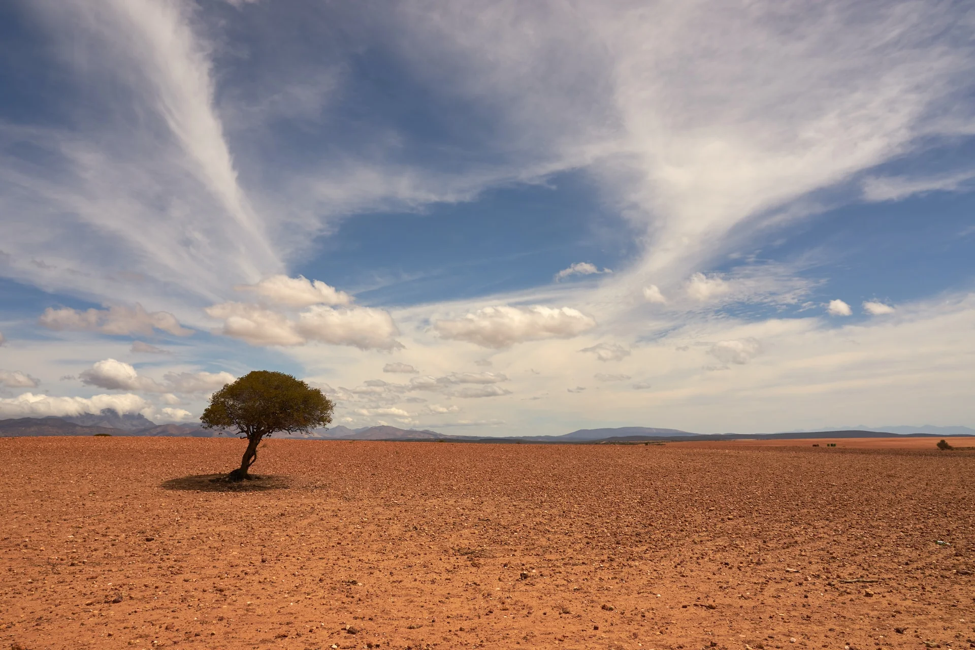 Dried out soil resulting from the heat in a desert-like area