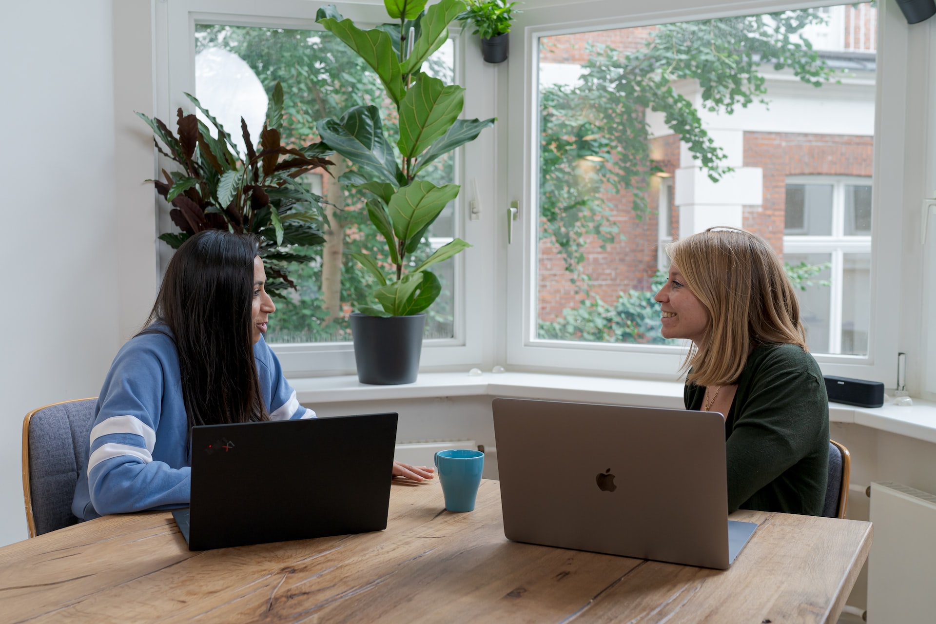 two woman working on laptops at a dining table two woman working on laptops at a dining table