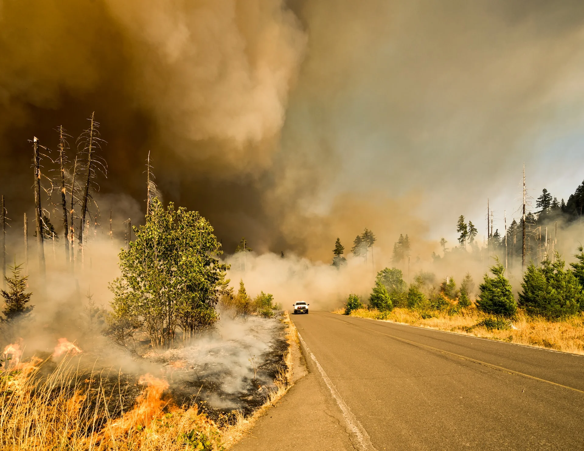 A wildfire that has spread to a nearby road, with smoke spreading
