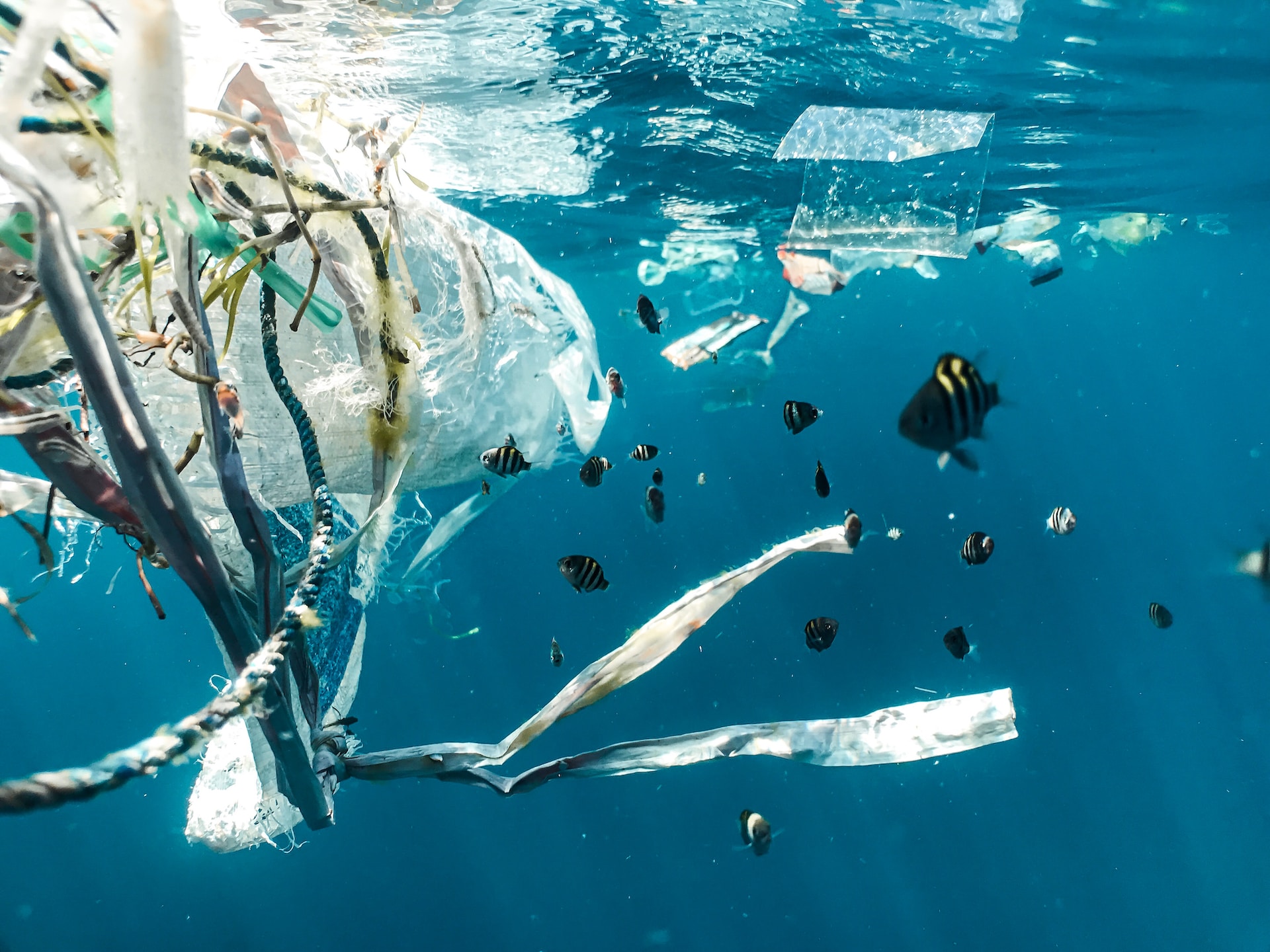 Photo sous-marine de déchets plastiques dans la mer Photo sous-marine de déchets plastiques dans la mer
