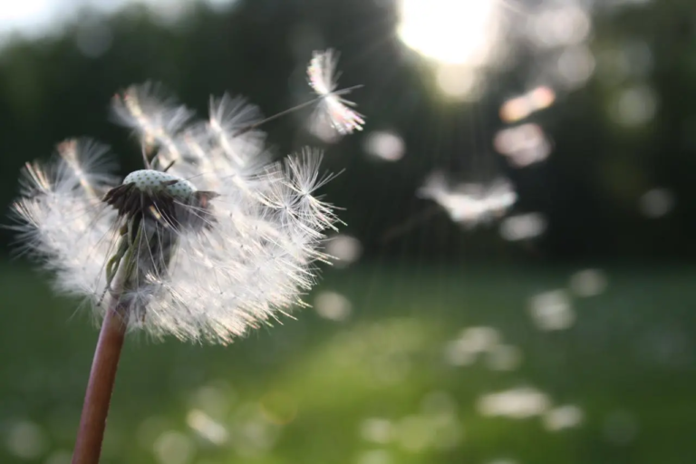 Risk assessment for allergies in the workplace template