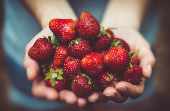 Food safety due diligence checklist template
