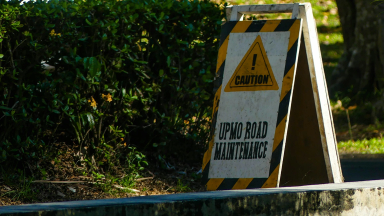 Risk identification software