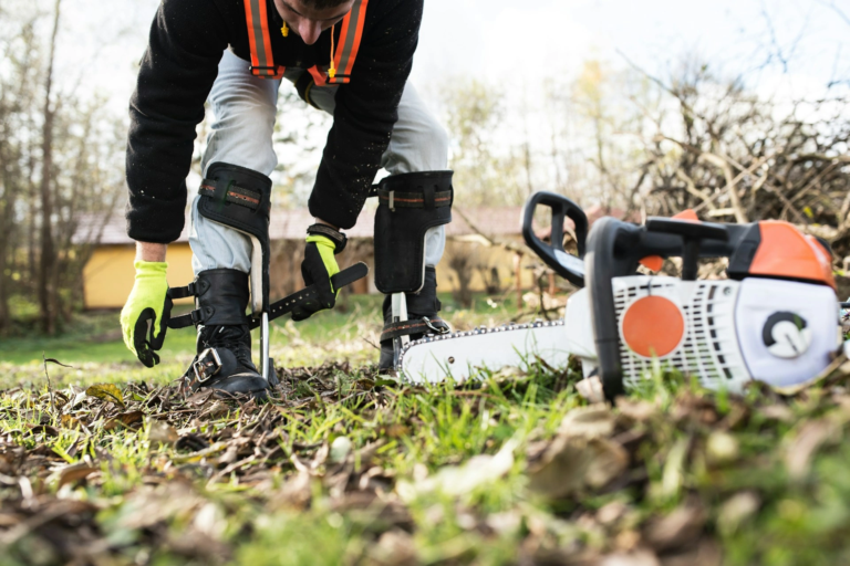 Chainsaw Safety Checklist