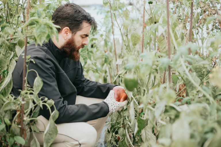 Farm food safety plan template