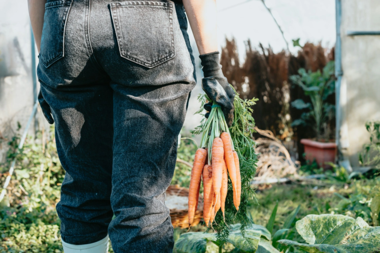 Farm safety risk assessment template