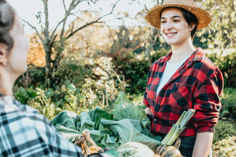 Farm health and safety plan template