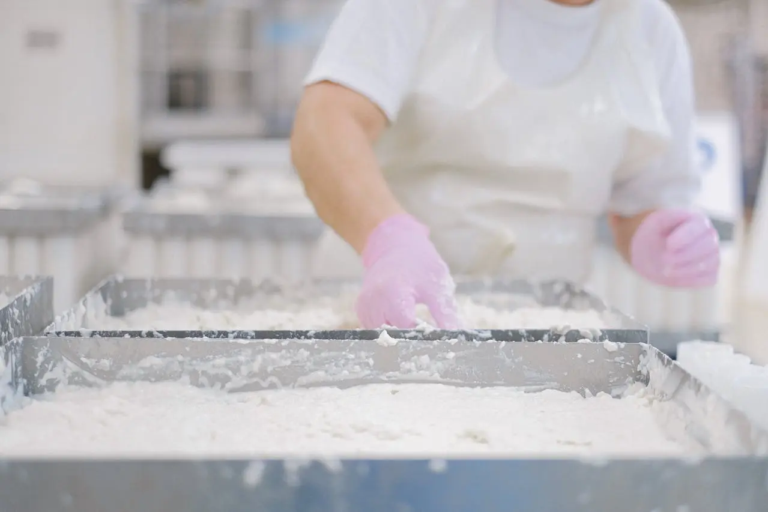 Food hygiene daily checklist