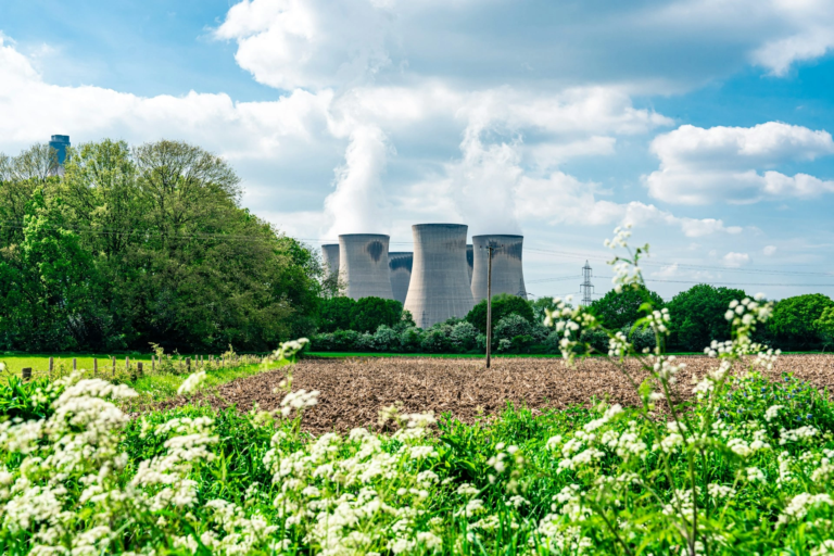 Environmental audit software