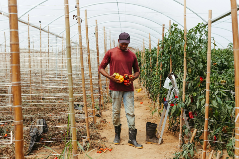 6 free farm safety checklist templates for better inspections