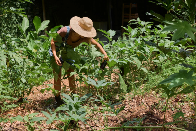 Streamline farm safety inspections