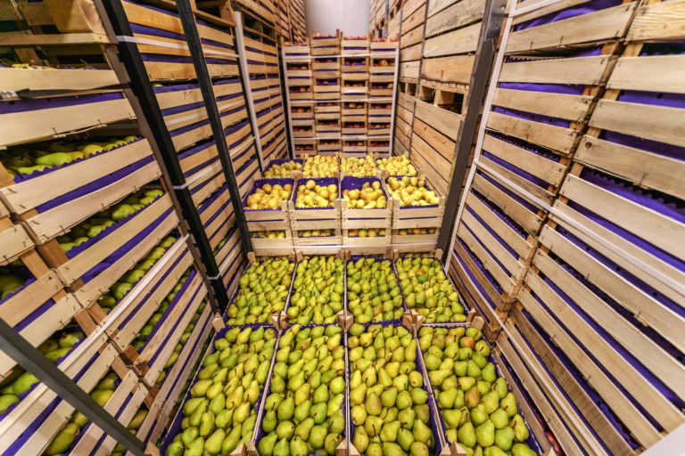 Food transportation SOP template