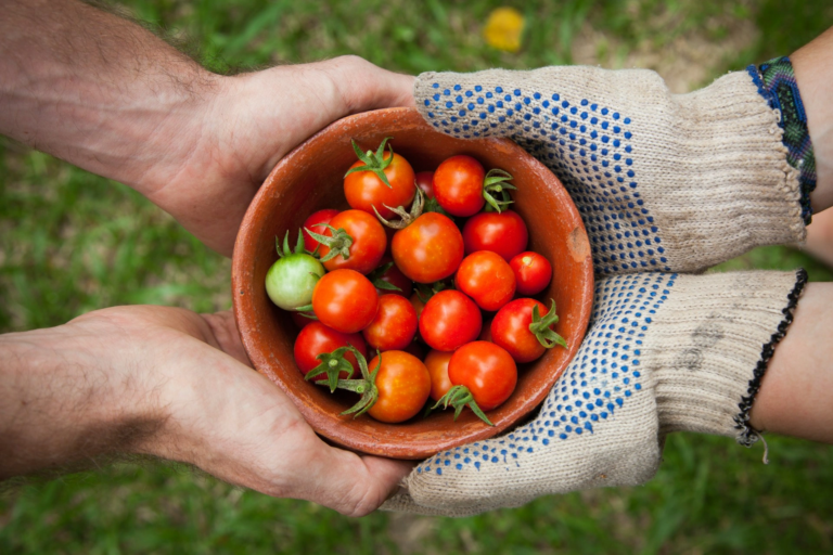 Digitize HACCP compliance procedures