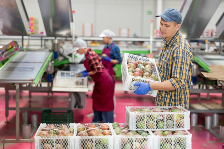 Food traceability software
