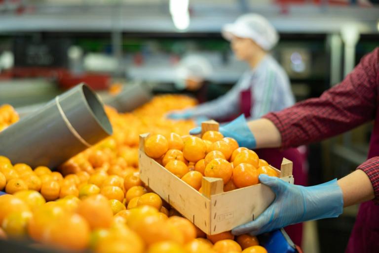 Top 3 free food security plan templates