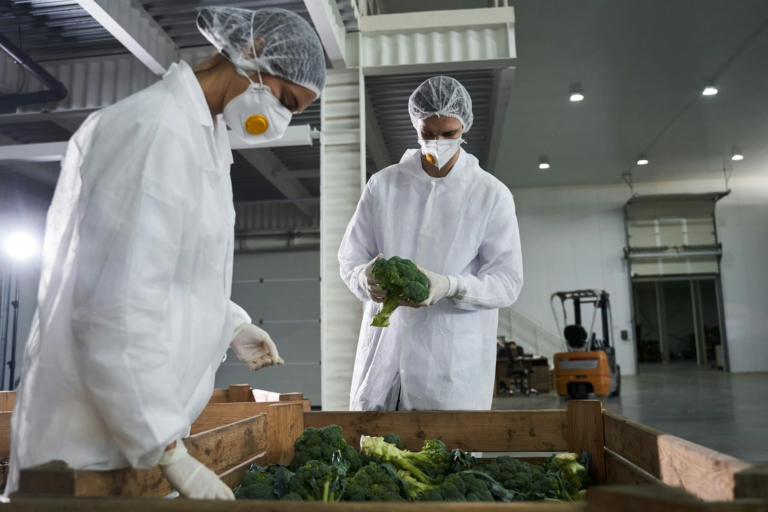 Food security app